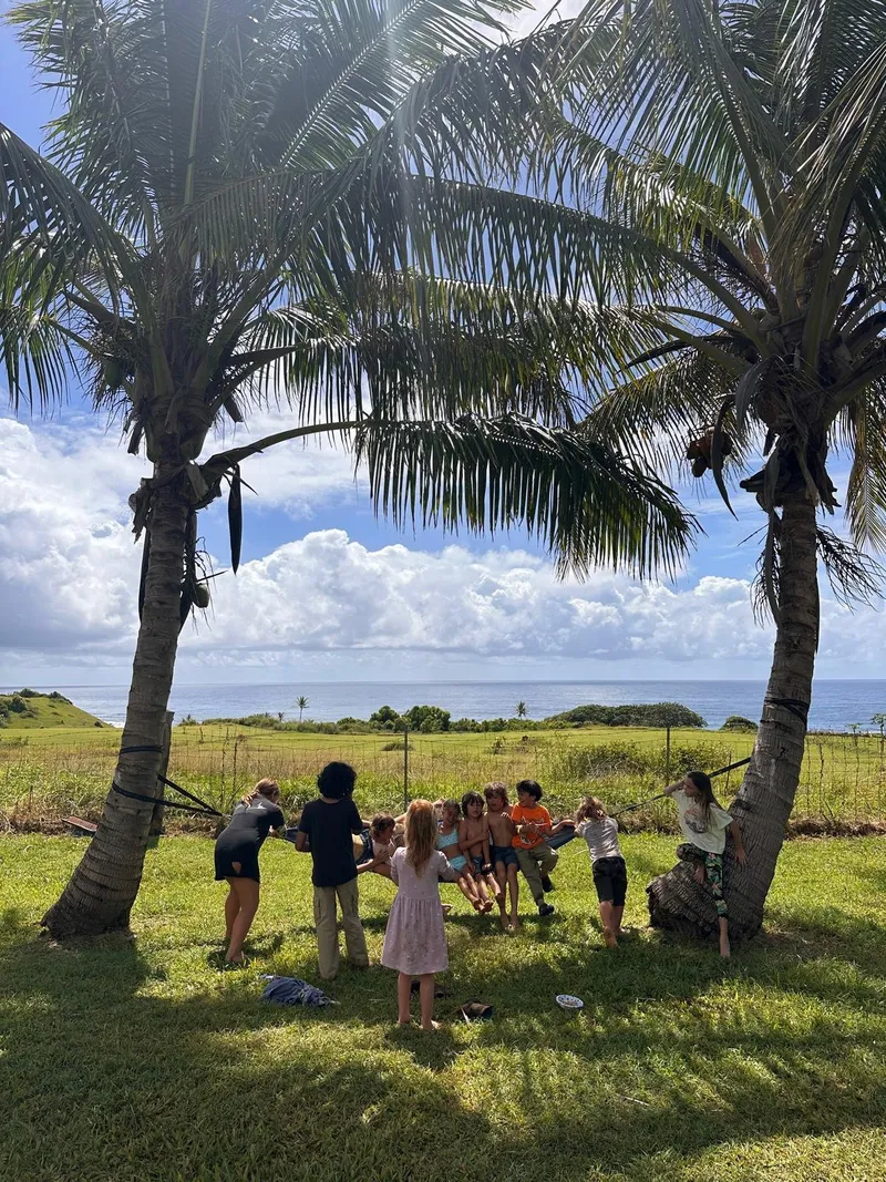 The Elementary Studio